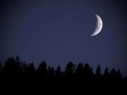 Quarto di luna nel cielo notturno- foto dal web